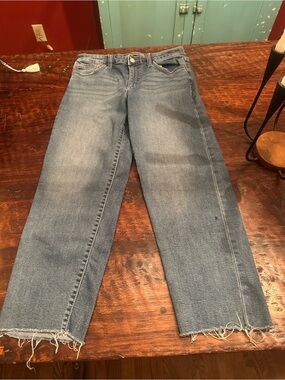 Joe's Jeans Straight Leg Frayed Hem Jeans - Light Blue